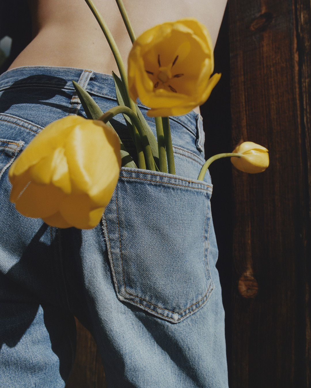 Lolly Would, project: Eternal Sunshine (Fig. 9)